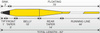 Sznur muchowy Traper Impulse Sink Tip WF 5 - ST